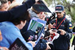 Даниэль Риккардо, Red Bull Racing раздает автографы