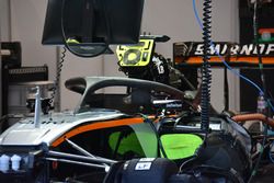 Force India Halo