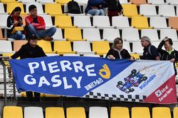 Fans de Pierre Gasly, Scuderia Toro Rosso