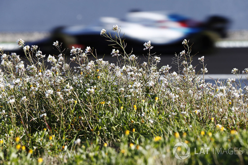 Lance Stroll, Williams FW41