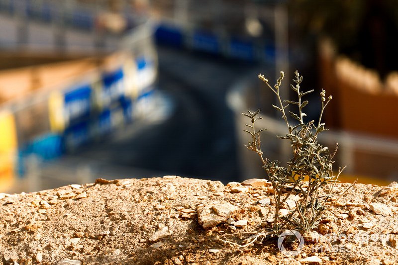 Track side detail