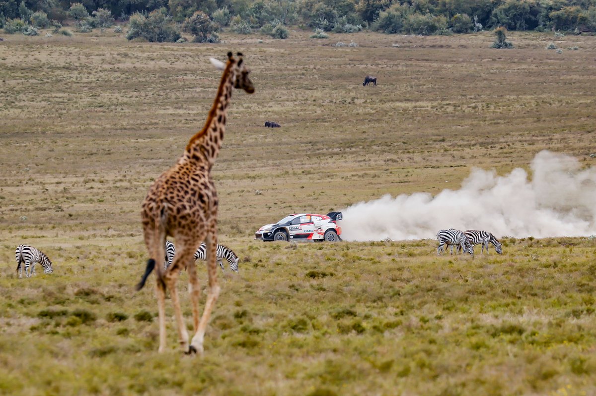 Kalle Rovanpera, Jonne Halttunen, Toyota Gazoo Racing WRT Toyota GR Yaris Rally1