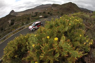 Nikolay Gryazin, Yaroslav Fedorov, Skoda Fabia R5