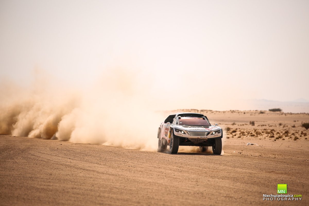 #314 Abu Dhabi Racing Peugeot: Cyril Despres, Mike Horn
