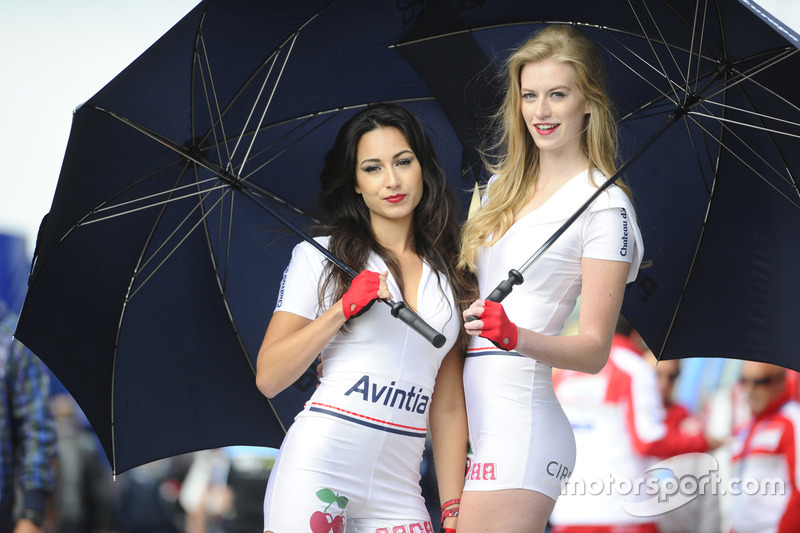 Lovely grid girls