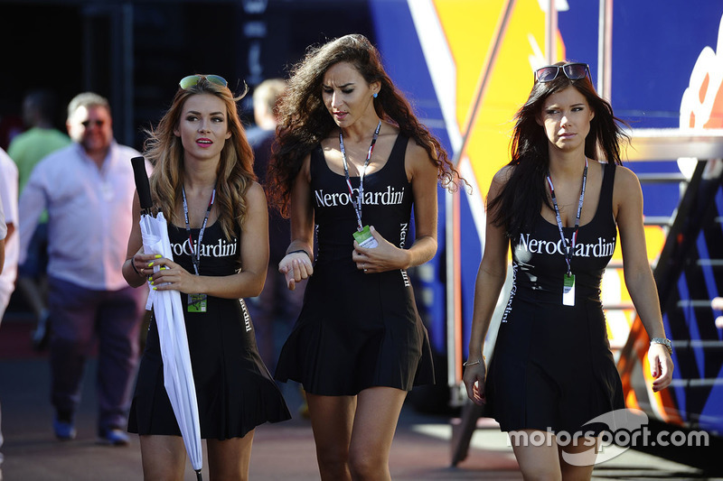 Lovely girls in the paddock