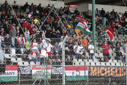 Des fans de Norbert Michelisz, Honda Racing Team JAS, Honda Civic WTCC