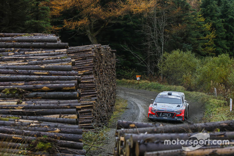 Thierry Neuville, Nicolas Gilsoul, Hyundai i20 WRC, Hyundai Motorsport
