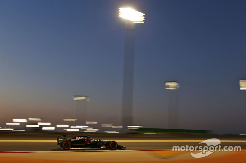 Stoffel Vandoorne, McLaren MP4-31