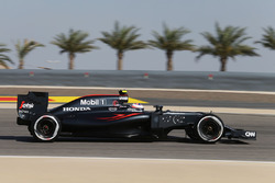 Jenson Button, McLaren MP4-31