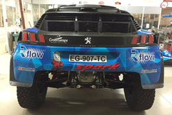 Romain Dumas, Peugeot 3008 DKR