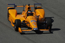 Fernando Alonso, Andretti Autosport Honda