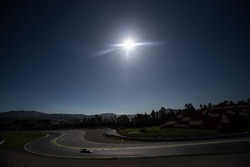Фелипе Масса, Williams FW40