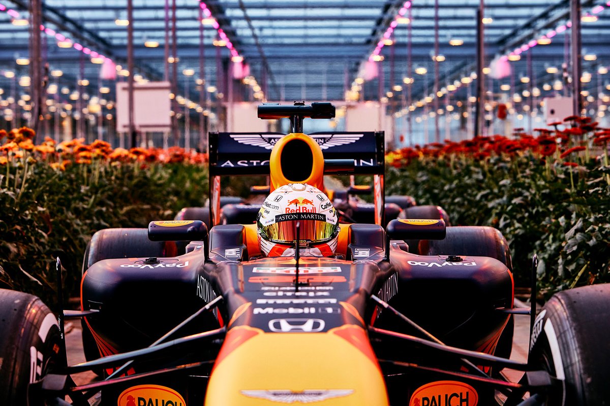 Max Verstappen, Red Bull Racing