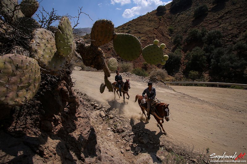 Rally Mexico 2020