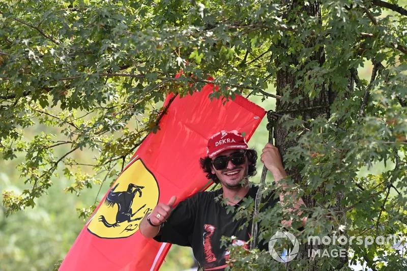 Un fan de Ferrari dans un arbre