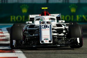 Antonio Giovinazzi, Sauber C37