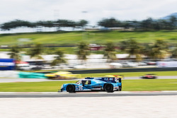 #25 Algarve Pro Racing Ligier JSP2 Nissan: Andrea Roda, Matt McMurry, Andrea Pizzitola