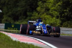 Маркус Эрикссон, Sauber C36