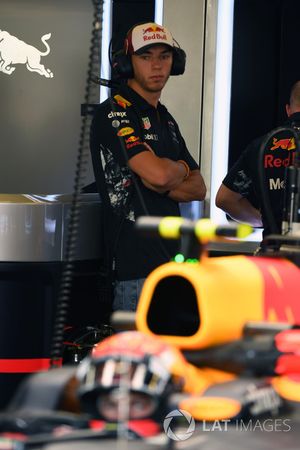 Pierre Gasly, pilote d'essais Red Bull Racing