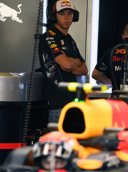 Pierre Gasly, pilote d'essais Red Bull Racing