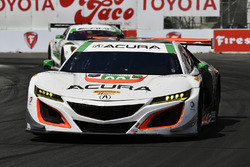 #93 Michael Shank Racing Acura NSX: Andy Lally, Katherine Legge