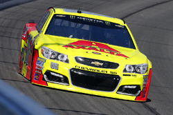 Dale Earnhardt Jr., Hendrick Motorsports, Chevrolet