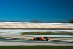 Stoffel Vandoorne, McLaren MCL32