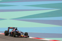 Max Verstappen, Scuderia Toro Rosso STR11