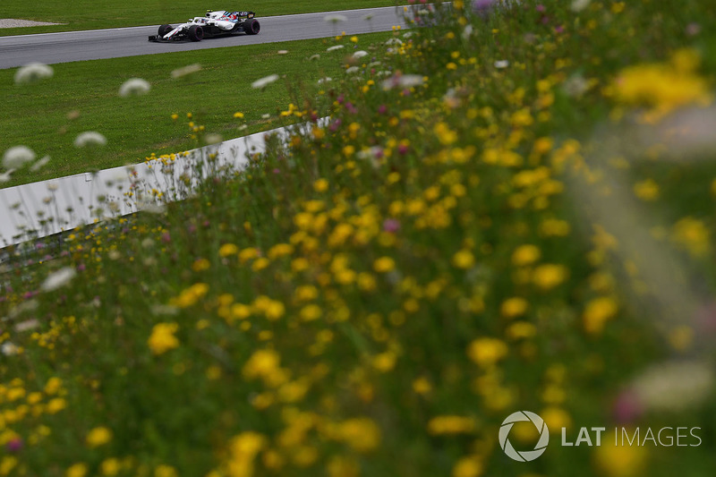 Sergey Sirotkin, Williams FW41