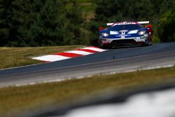 #66 Chip Ganassi Racing Ford GT, GTLM: Dirk Müller, Joey Hand