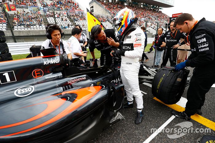 Fernando Alonso, McLaren MP4-31