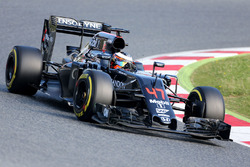 Stoffel Vandoorne, pilote d'essais et de réserve McLaren MP4-31