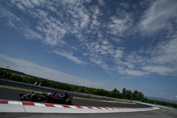 Fernando Alonso, McLaren MP4-31