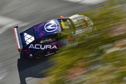 #42 RealTime Racing Acura TLX-GT: Peter Cunningham