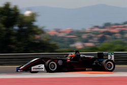 Sebastian Fernandez, Motopark Dallara F317 - Volkswagen