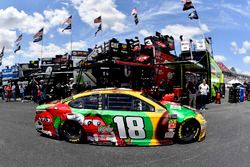 Kyle Busch, Joe Gibbs Racing, Toyota Camry M&M's Flavor Vote