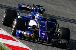 Marcus Ericsson, Sauber C36