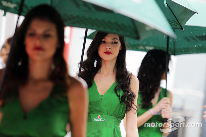 Hot grid girls