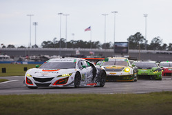 #93 Michael Shank Racing Acura NSX: Andy Lally, Katherine Legge, Mark Wilkins, Graham Rahal