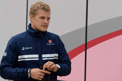 Маркус Эрикссон, Sauber
