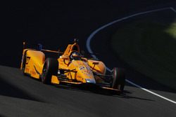 Fernando Alonso, Andretti Autosport Honda