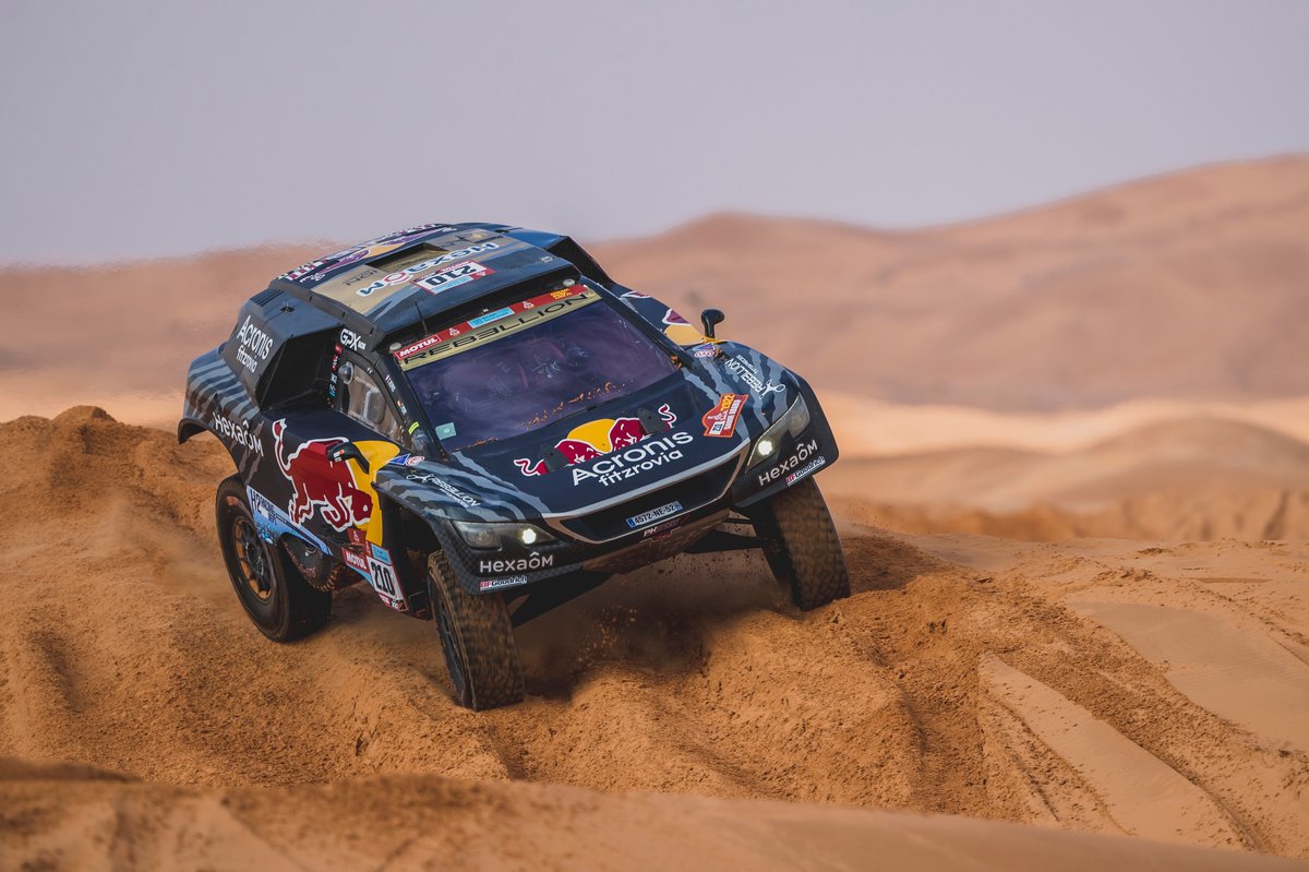 #210 Karman / Hexaom Peugeot: Cyril Despres, Taye Perry