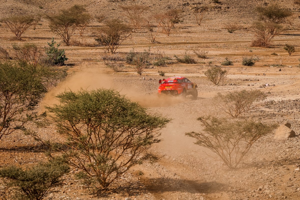 #311 Bahrain Raid Xtreme Hunter: Nani Roma, Alex Winocq