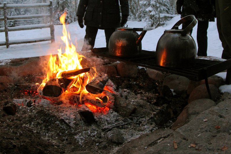 Arctic Lapland Rally 2020