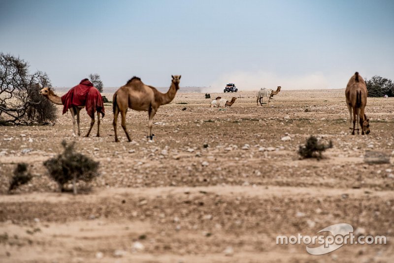 Rally de Qatar