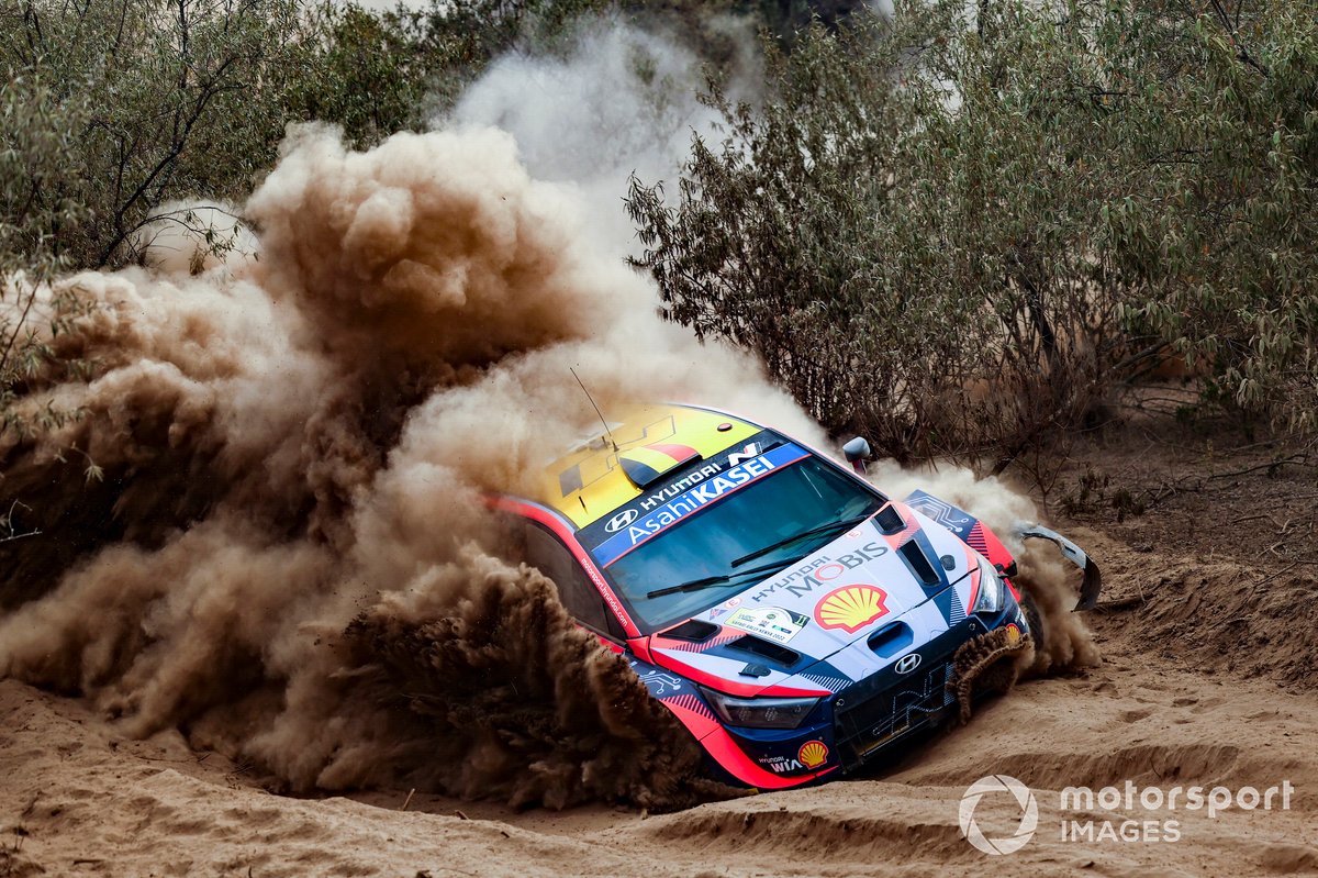 Thierry Neuville, Martijn Wydaeghe