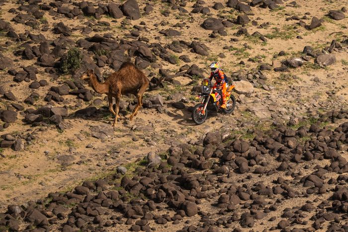 #77 Red Bull KTM Factory Racing KTM: Luciano Benavides