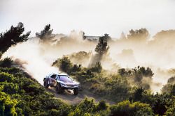 Cyril Despres, Peugeot 3008 DKR, Peugeot Sport