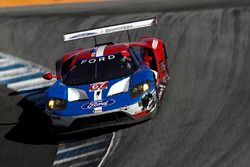 #67 Chip Ganassi Racing Ford GT: Ryan Briscoe, Richard Westbrook